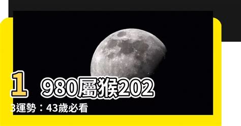 1980屬猴幸運數字|1980年属猴发财数字：幸运数字、颜色和日子